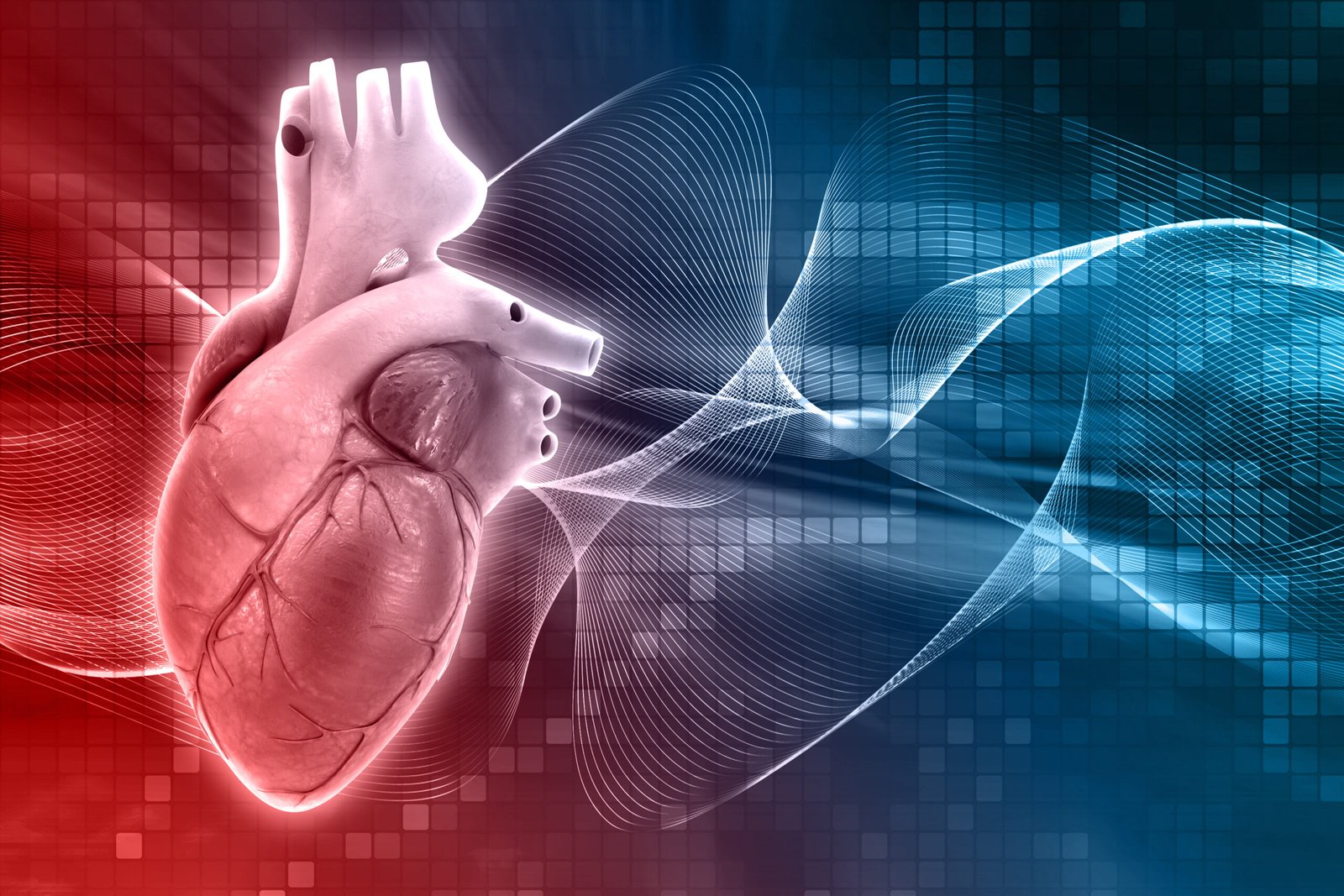 3D render of a medical background with a heart
